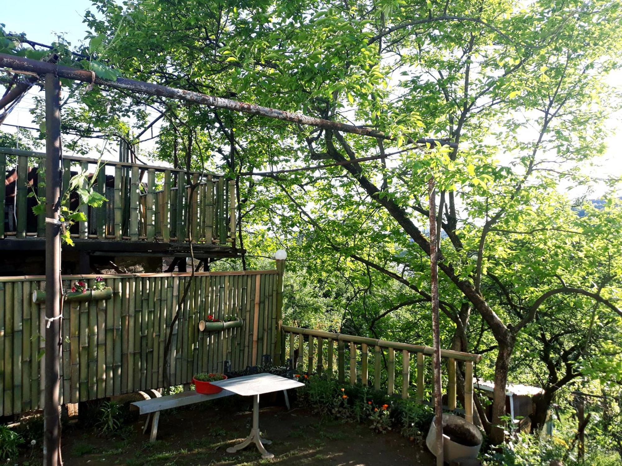 Nature House كوتايسي المظهر الخارجي الصورة